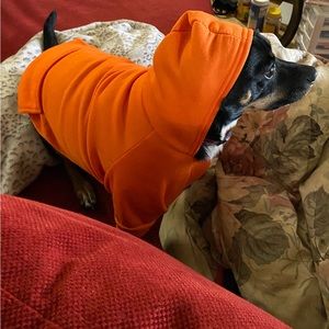 Dog hoodies